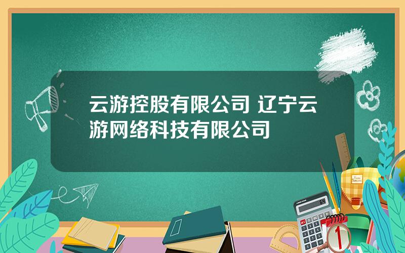 云游控股有限公司 辽宁云游网络科技有限公司